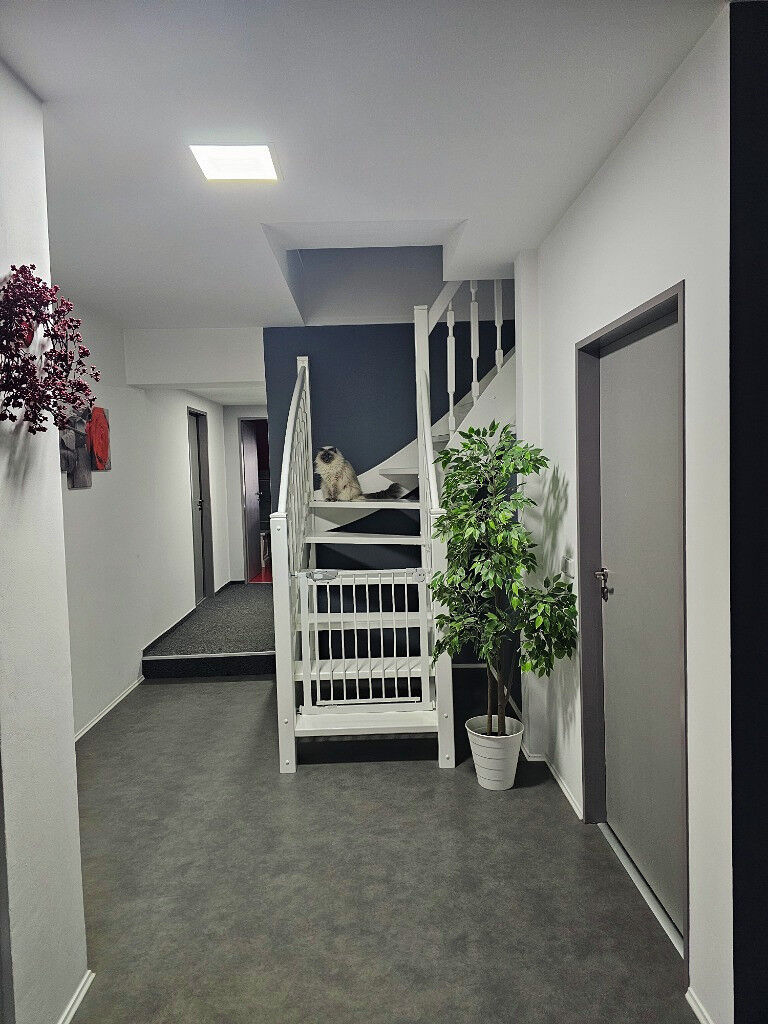 Pronájem mezonetového bytu 4+kk, 172 m², Police nad Metují